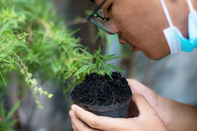 Close-up of boy smelling marijuana leaves