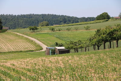 Scenic view of farm against sky