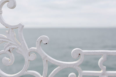 Close-up of swan on railing by sea against sky