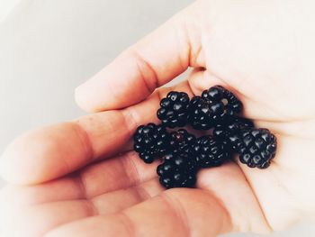 An open hand holding blackberries
