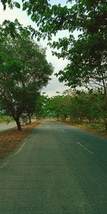 Road amidst trees against sky