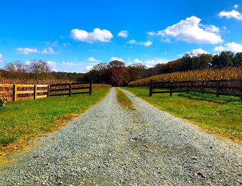 Road amidst trees on field against sky