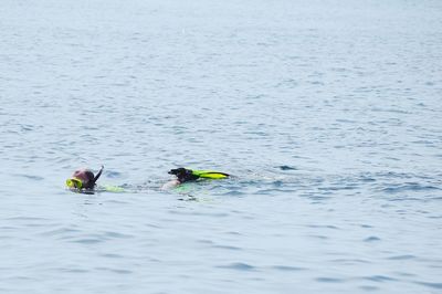 Man swimming in sea