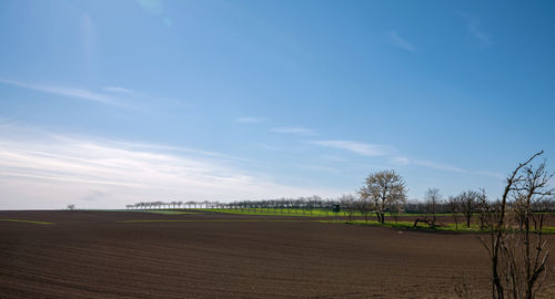 Scenic view of field against blue sky