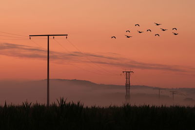 Silhouette birds flying against sky during sunset