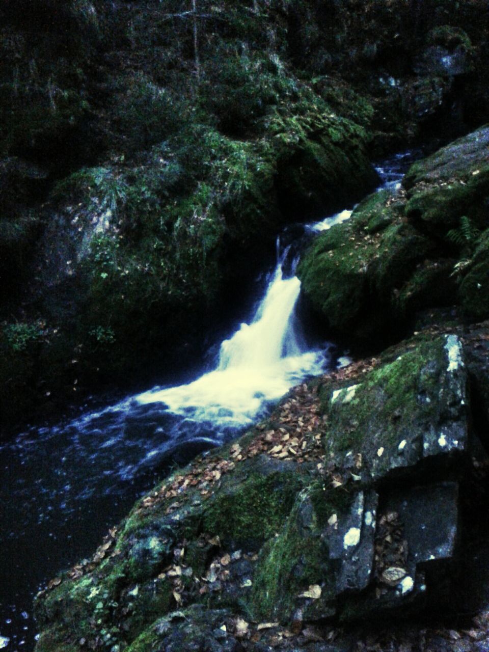 water, waterfall, flowing water, flowing, motion, forest, rock - object, stream, beauty in nature, long exposure, nature, scenics, tree, river, rock, moss, tranquility, blurred motion, green color, rock formation