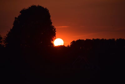 Silhouette trees against orange sky during sunset