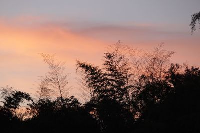 Low angle view of silhouette trees against sky at sunset