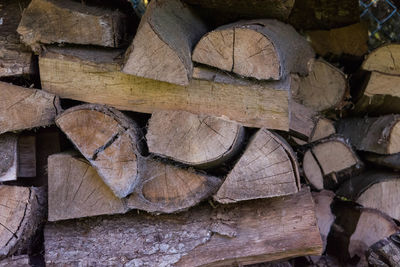 Stack of logs