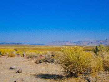 Scenic view of desert against blue sky
