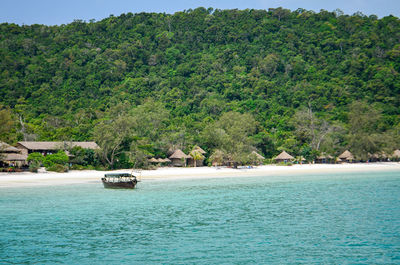 Scenic view of sea against trees
