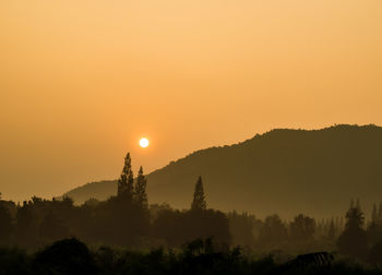 Scenic view of silhouette trees against orange sky