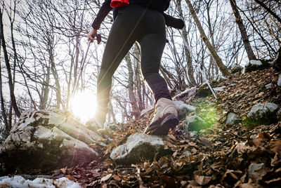 Trekking scene in a woodland