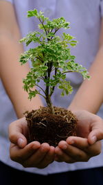 Midsection of woman holding plant