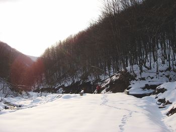 Scenic view of snow covered landscape
