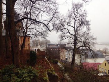 Bare trees and houses against sky