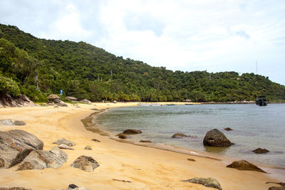 Scenic view of beach against sky