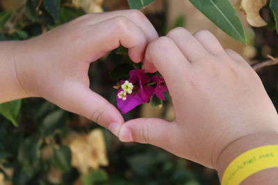 Close-up of hand holding flower