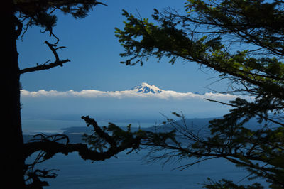 Scenic view of tree mountains against sky