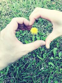 Midsection of person holding flowering plant on land