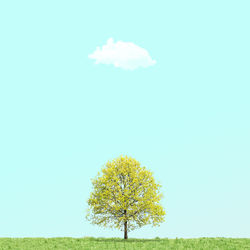 Tree in field against clear sky