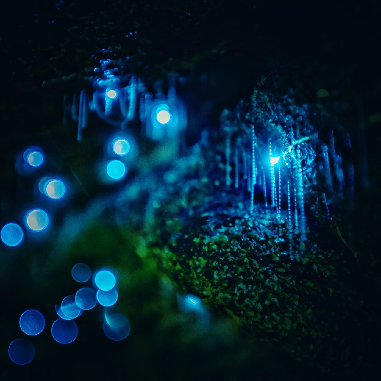 illuminated, night, lighting equipment, glowing, light - natural phenomenon, tree, no people, light, decoration, electric light, defocused, celebration, electricity, selective focus, close-up, pattern, green color, christmas, blue, outdoors, fiber optic, nightlife