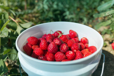 High angle view of strawberries in bowl