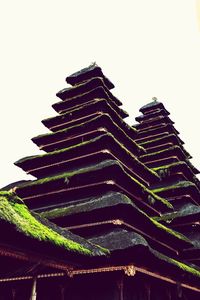 Low angle view of pagoda against sky