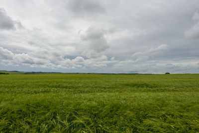 Scenic view of grassy field against cloudy sky