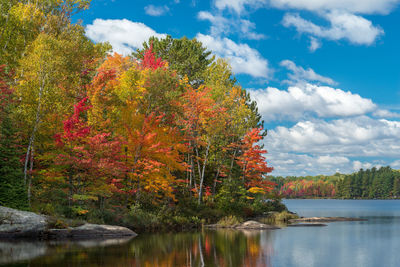 Trees by lake against sky during autumn