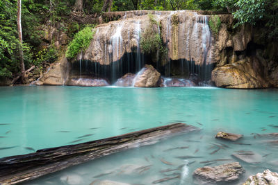 Scenic view of waterfall