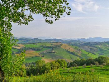 Scenic view of agricultural field against sky