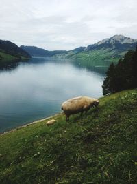 Scenic view of lake against sky