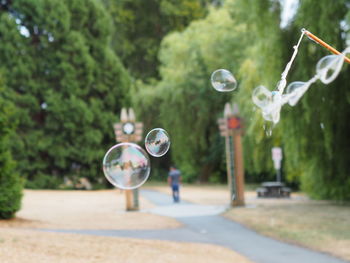 Bubbles in park