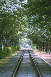 Rear view of man walking on railroad track