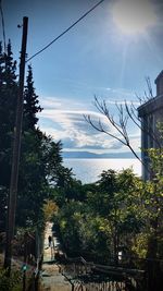 Street amidst trees against sky