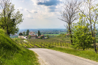 Road amidst green landscape against sky