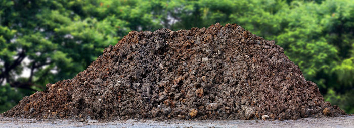 Close-up of rock on field