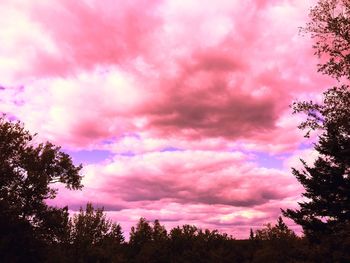 Low angle view of silhouette trees against sky during sunset