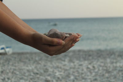 Midsection of person hand on sea shore