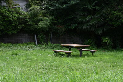 Empty bench in park