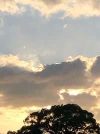 Low angle view of silhouette trees against sky during sunset