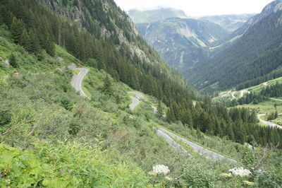 High angle view of mountain road