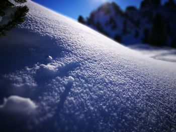 Close-up of frozen tree against sky