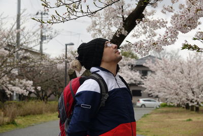 Sakura, cherry blossom in japan niigata, shibata, a guy enjoying the scenery.