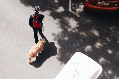 High angle view of man with dog on street