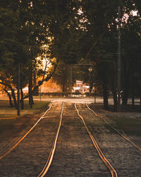 View of railroad tracks by trees in city