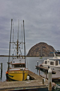 Sailboats moored on sea against sky