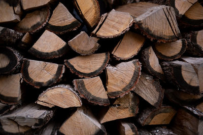 timber