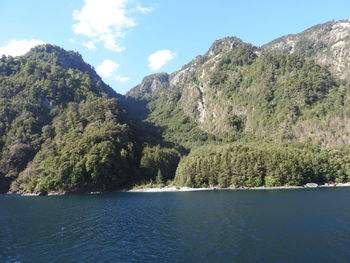 Scenic view of lake by trees against sky